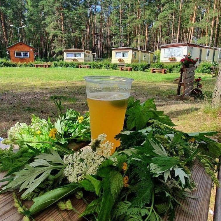 Chill&Grill Camping Daugavpils Luaran gambar